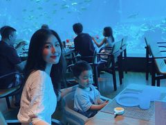 -海棠湾洲际-涛·海底餐厅·美人鱼·自助餐·海底隧道