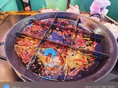 -肥龙火锅(南坪店)