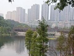 -重庆彩云湖湿地公园