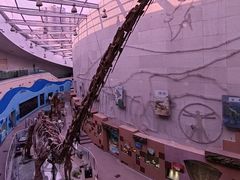 -陕西自然博物馆