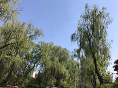 -迎泽公园