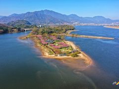 -福建鲤鱼洲酒店