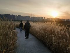 -汉长安城未央宫国家考古遗址公园