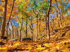 -阳台山自然风景区