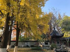 -郑和公园