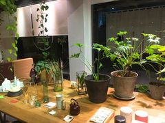 -柴务处·柴犬主题狗咖