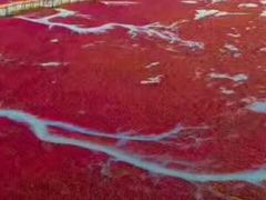-红海滩国家风景廊道