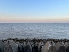 -上海滨江森林公园