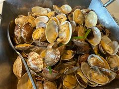 辣炒红岛花蛤-开海·红岛海鲜虾水饺(石老人店)