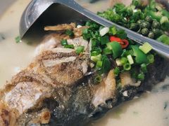 青椒紫苏煮桂鱼-时间仓(月湖公园店)