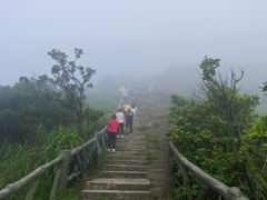 -梧桐山风景名胜区
