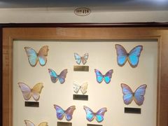 -上海昆虫博物馆