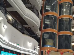 -五谷芳乳鸽王(海景店)