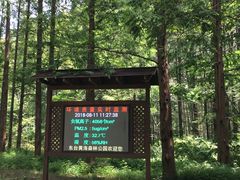 -黄海国家森林公园