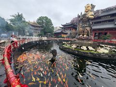 -上海东林寺(金山区)