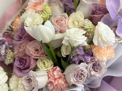 -Dark Horse·黑马蛋糕·低脂·低糖淡奶(金匙望湖大厦店)