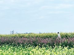 -三圣花乡旅游区