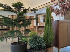 -墨宴(西洋湖店)