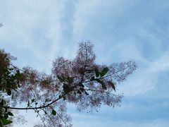 -炉小哥烤肉(朗悦公园茂店)