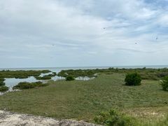 -北海金海湾红树林生态旅游区