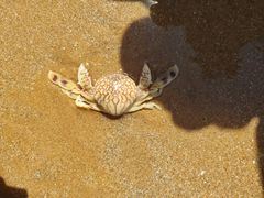 -青岛银沙滩