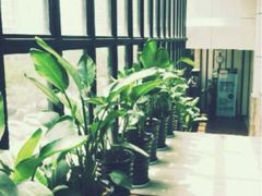 -CLASS国际公馆诺伯曼超越运动会馆