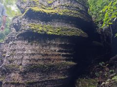 -梭布垭石林景区