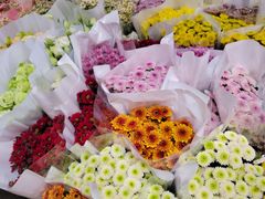 -循礼门鲜花花市(武汉循礼门店)