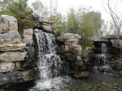 室外景观-南宫五洲植物乐园