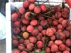-新鸿港水果市场