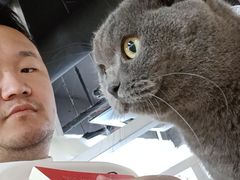 -松果猫咖(桐乡吾悦金街店)