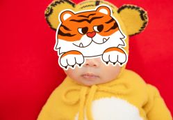 -蓓儿悦月子会所(日月大道店)