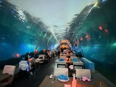 -海棠湾洲际-涛·海底餐厅·美人鱼·自助餐·海底隧道