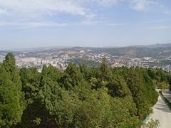 -原山国家森林公园