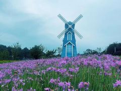 -铁山坪森林公园