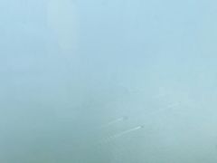 -OZONE 顶楼酒吧(香港丽思卡尔顿酒店)