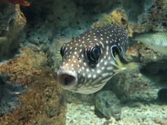 -福州罗源湾海洋世界旅游区