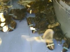 -大东方海鲜酒楼(小武基桥店)