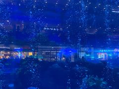 -成都浩海立方海洋公园