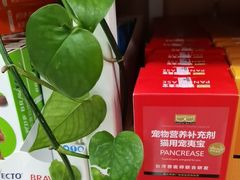 -中国农业大学动物医院