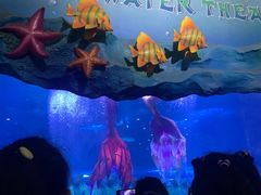 -西安曲江海洋极地公园