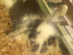 -龙猫仔乐园(惠福东路店)