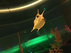-常州海昌海洋探索馆