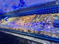 -五月罗马海鲜烤肉自助餐厅(印象城店)