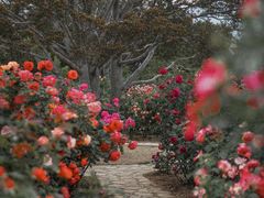 -国家植物园南园