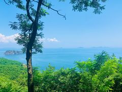 -棒棰岛宾馆景区