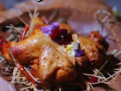 -Hi City·城市之巅