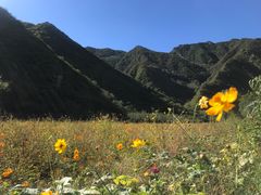 -白河湾生态旅游一条川