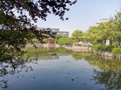 -嘉定紫藤园