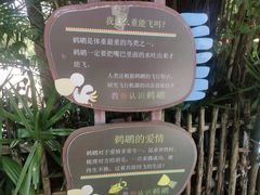 -深圳野生动物园